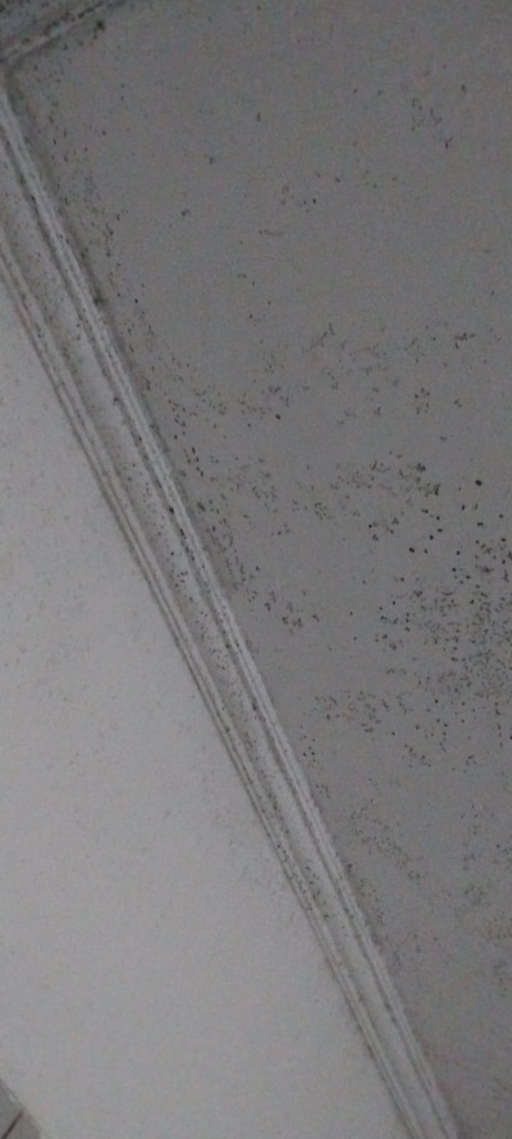 Deep Cleaning